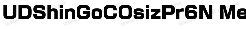 UDShinGoCOsizPr6N Med字体转换